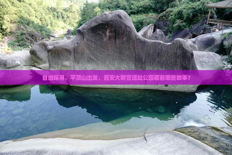 自由探寻，平顶山出发，西安大明宫遗址公园藏着哪些故事？