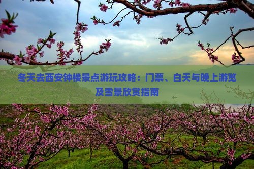 冬天去西安钟楼景点游玩攻略：门票、白天与晚上游览及雪景欣赏指南