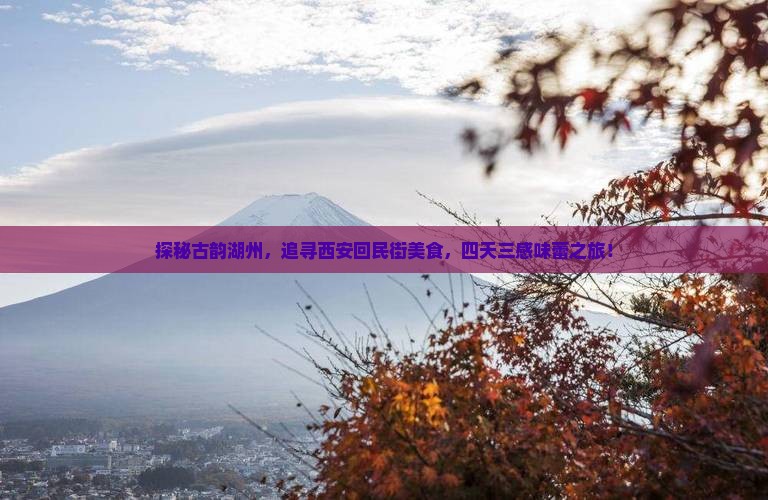 探秘古韵湖州，追寻西安回民街美食，四天三感味蕾之旅！