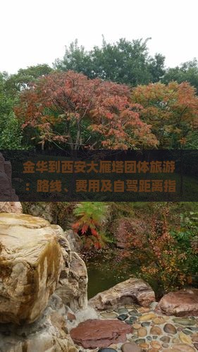 金华到西安大雁塔团体旅游：路线、费用及自驾距离指南
