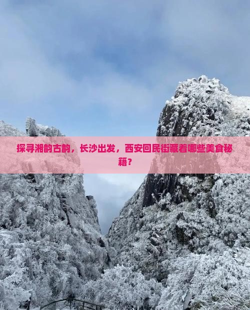 探寻湘韵古韵，长沙出发，西安回民街藏着哪些美食秘籍？