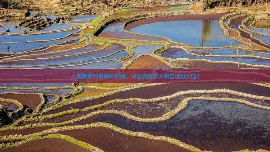 上班族如何用两天时间，深度游西安大明宫遗址公园？