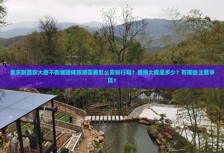 重庆到西安大唐不夜城团体旅游需要怎么安排行程？费用大概是多少？有哪些注意事项？