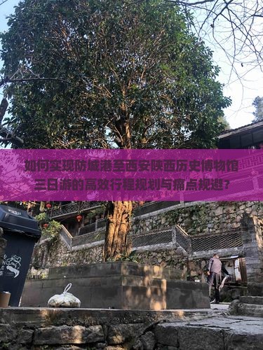 如何实现防城港至西安陕西历史博物馆三日游的高效行程规划与痛点规避？