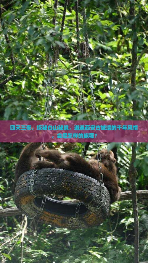 四天三夜，探秘白山秘境，邂逅西安古城墙的千年风情，会是怎样的旅程？