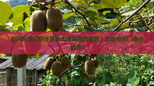 如何从通辽前往西安大唐芙蓉园旅游？攻略与热门痛点解答！