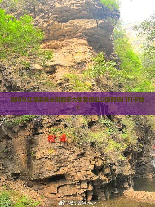 如何从辽源出发必游西安大明宫遗址公园的热门打卡地？