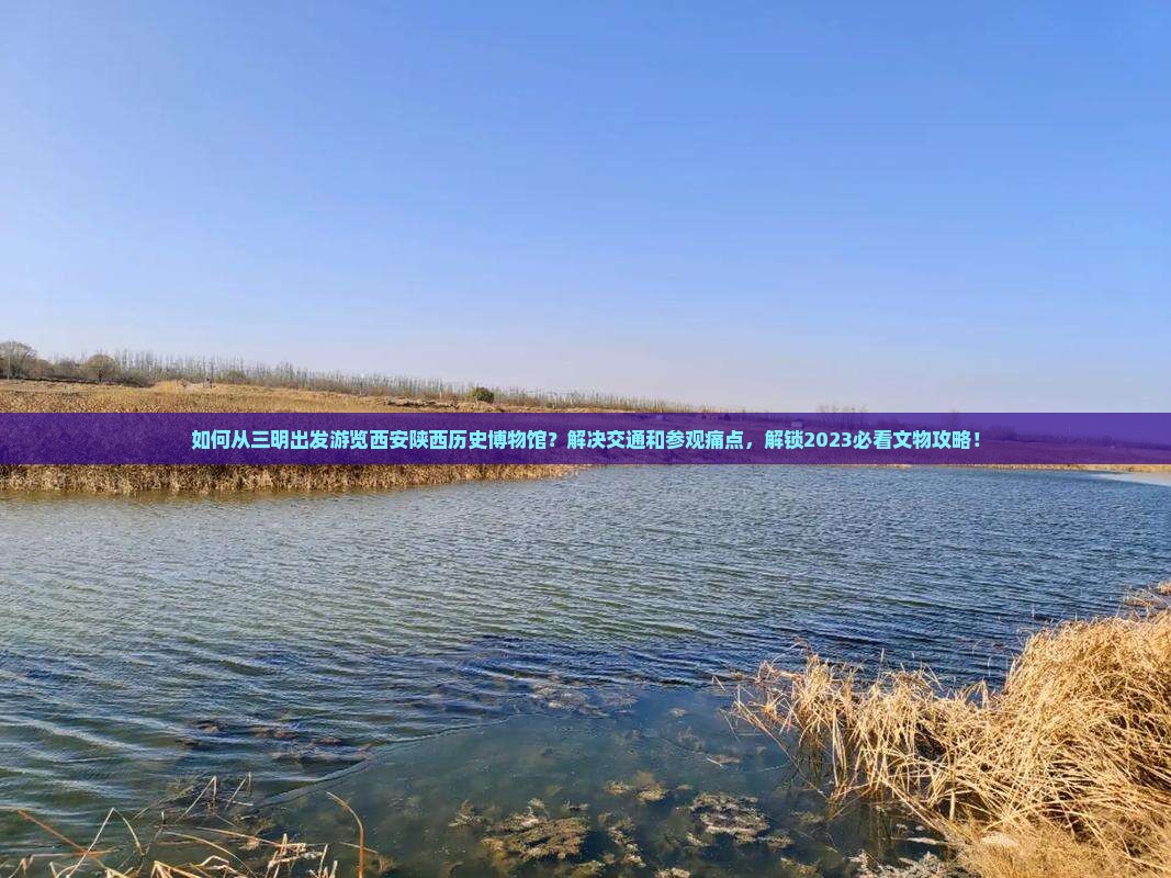 如何从三明出发游览西安陕西历史博物馆？解决交通和参观痛点，解锁2023必看文物攻略！