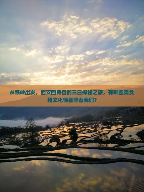 从铁岭出发，西安回民街的三日探秘之旅，有哪些美食和文化惊喜等着我们？