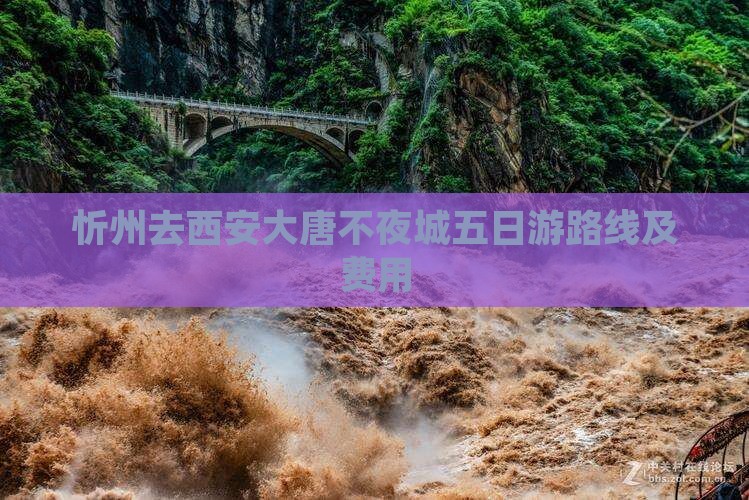 忻州去西安大唐不夜城五日游路线及费用