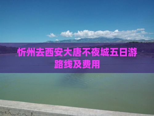 忻州去西安大唐不夜城五日游路线及费用
