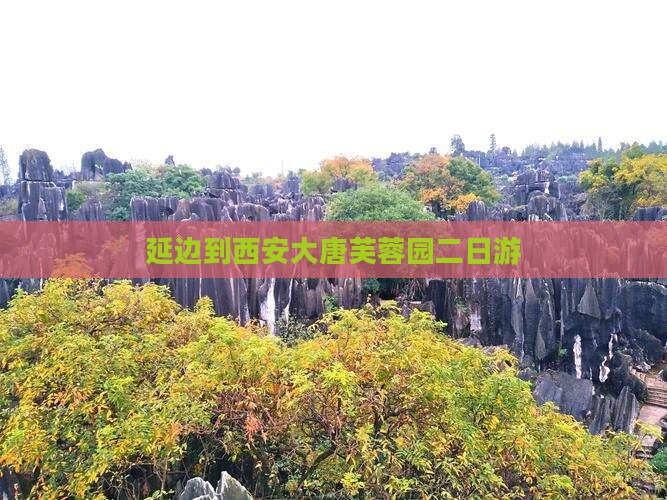 延边到西安大唐芙蓉园二日游