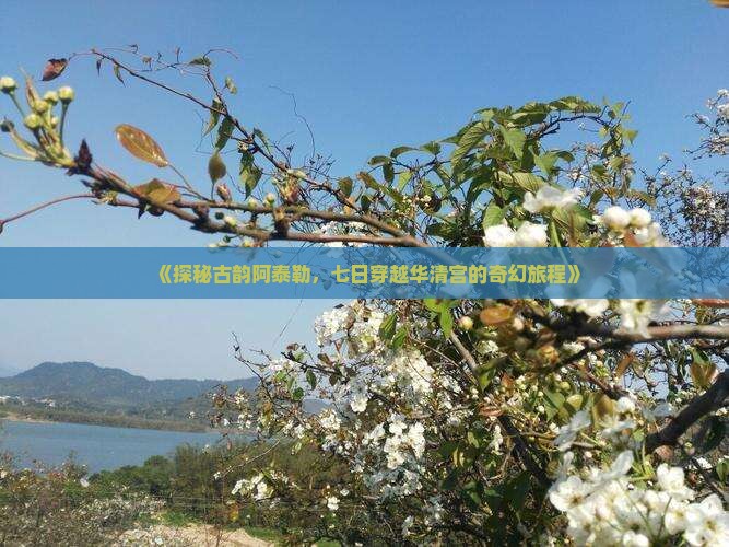 《探秘古韵阿泰勒，七日穿越华清宫的奇幻旅程》