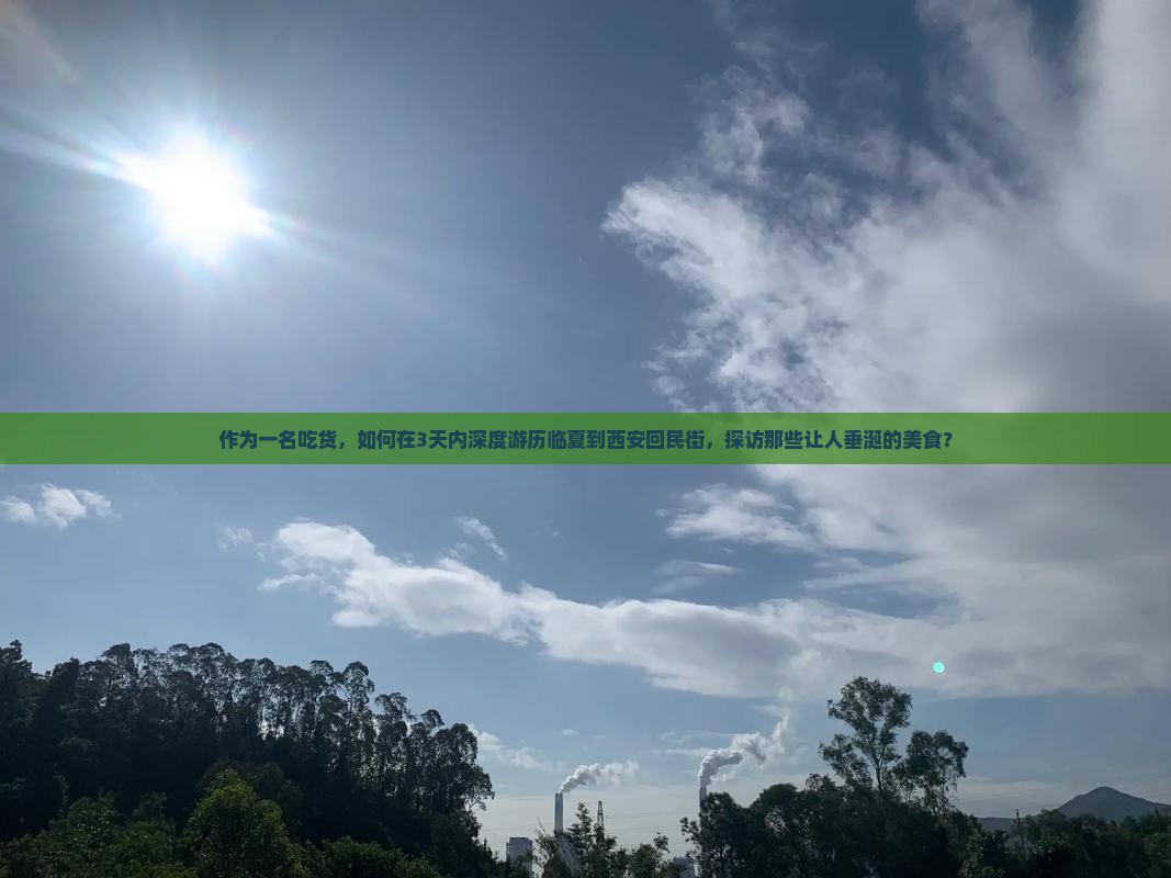 作为一名吃货，如何在3天内深度游历临夏到西安回民街，探访那些让人垂涎的美食？