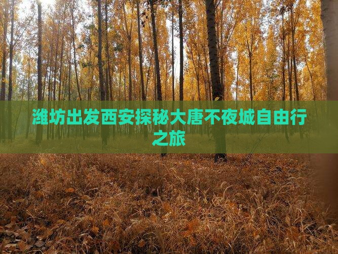 潍坊出发西安探秘大唐不夜城自由行之旅