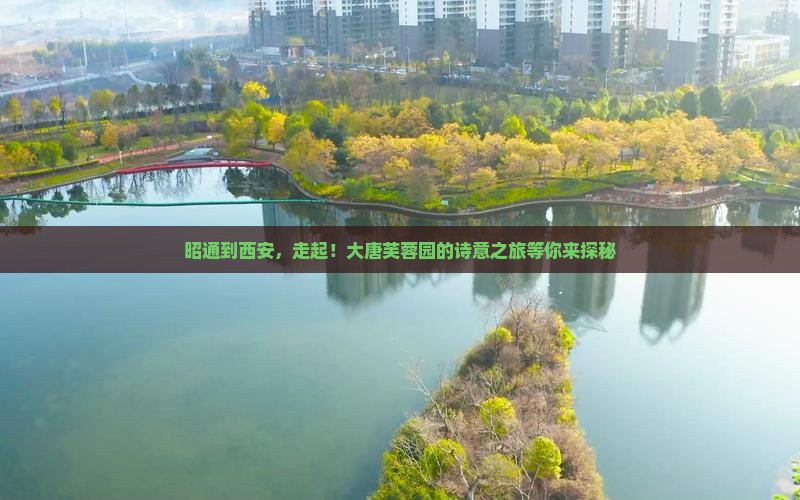昭通到西安，走起！大唐芙蓉园的诗意之旅等你来探秘