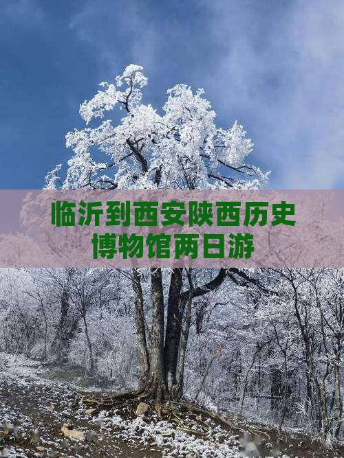 临沂到西安陕西历史博物馆大型旅游团