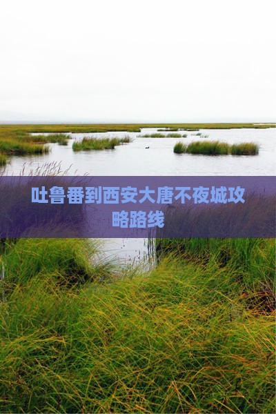 吐鲁番到西安大唐不夜城攻略