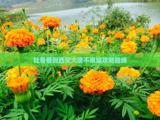 吐鲁番到西安大唐不夜城攻略