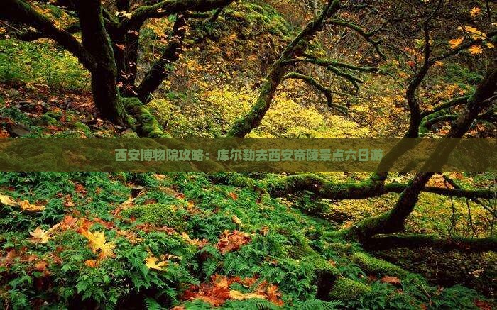 库尔勒去西安秦始皇帝陵博物院六日游