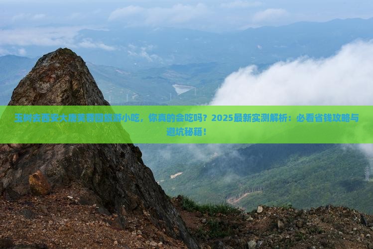 玉树去西安大唐芙蓉园旅游小吃