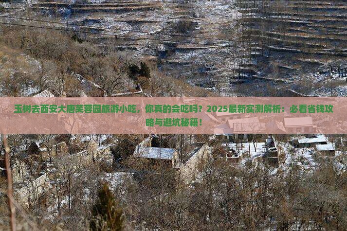 玉树去西安大唐芙蓉园旅游小吃