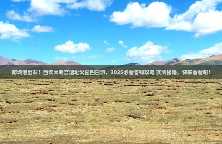 防城港到西安大明宫国家遗址公园四日游
