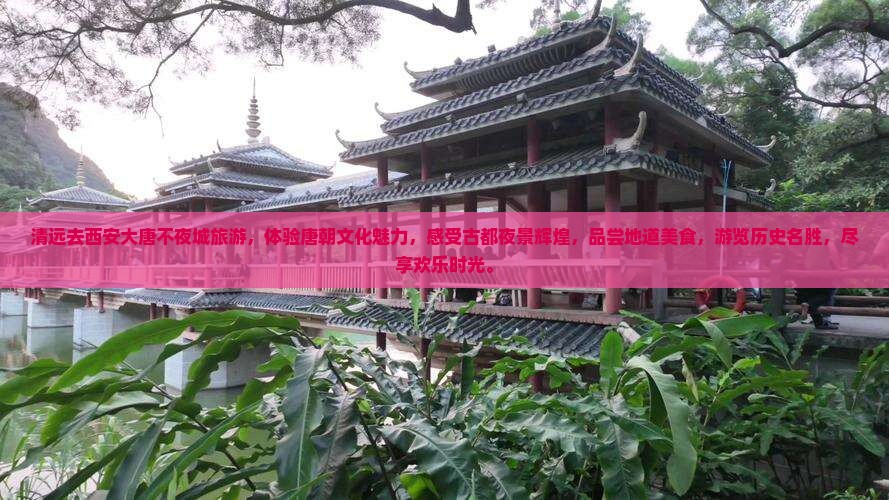 清远去西安大唐不夜城旅游