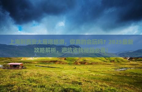 上海到西安大雁塔旅游
