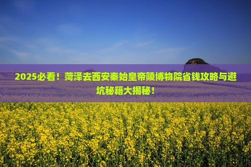菏泽去西安秦始皇帝陵博物院旅行社