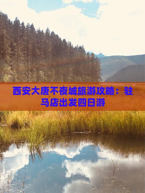 驻马店去西安大唐不夜城四日游