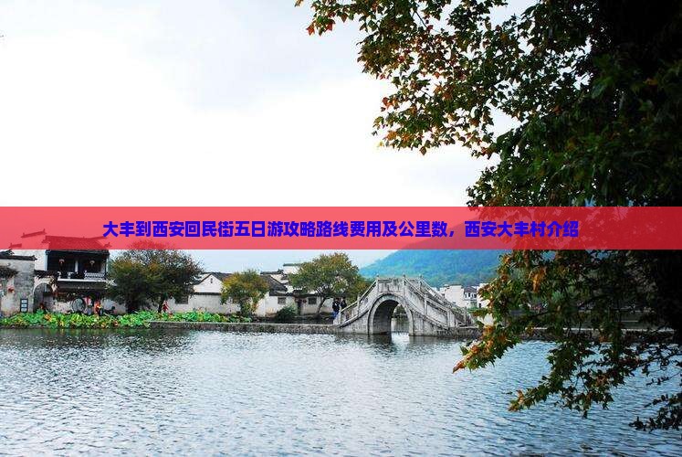 大丰到西安回民街五日游