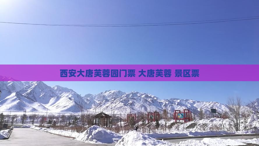 西双版纳到西安大唐芙蓉园门票