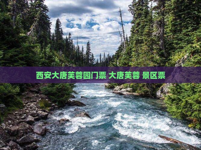 西双版纳到西安大唐芙蓉园门票