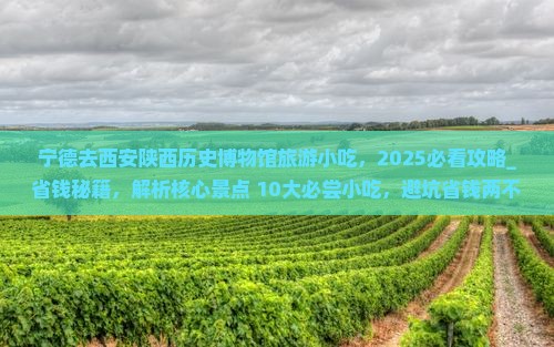 宁德去西安陕西历史博物馆旅游小吃