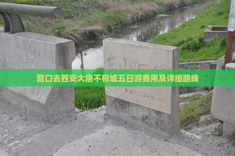 营口去西安大唐不夜城五日游