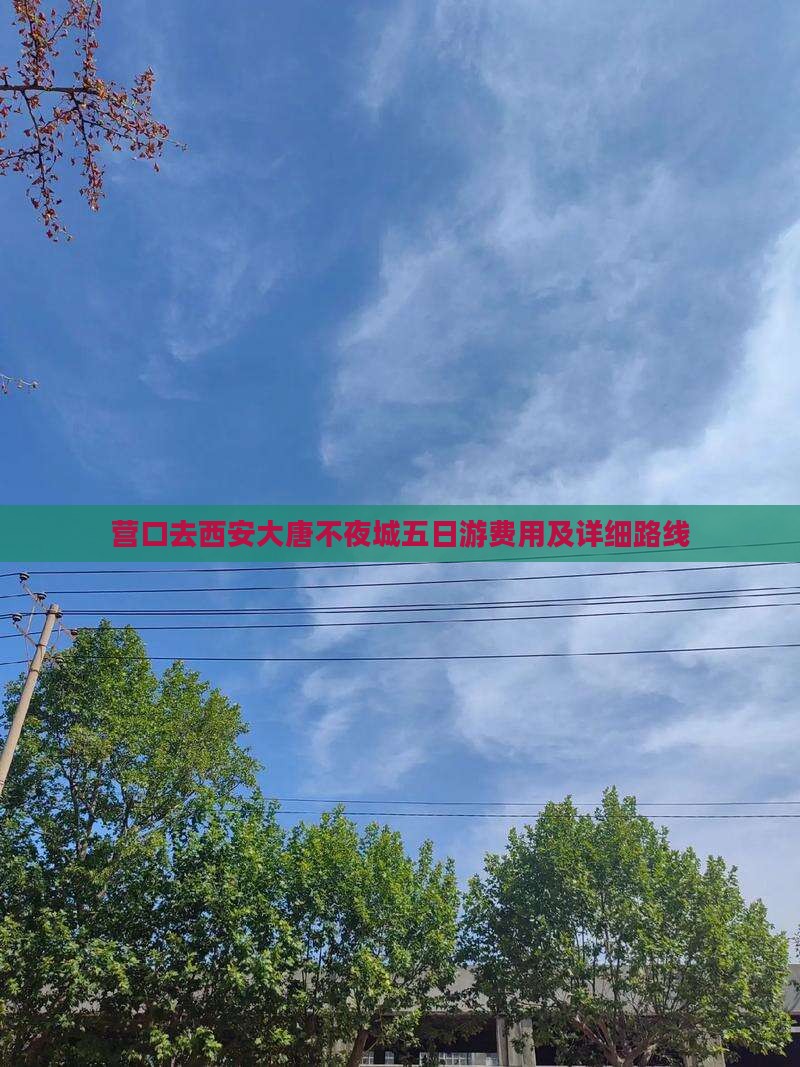营口去西安大唐不夜城五日游