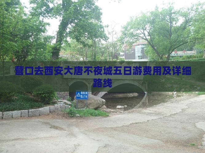 营口去西安大唐不夜城五日游