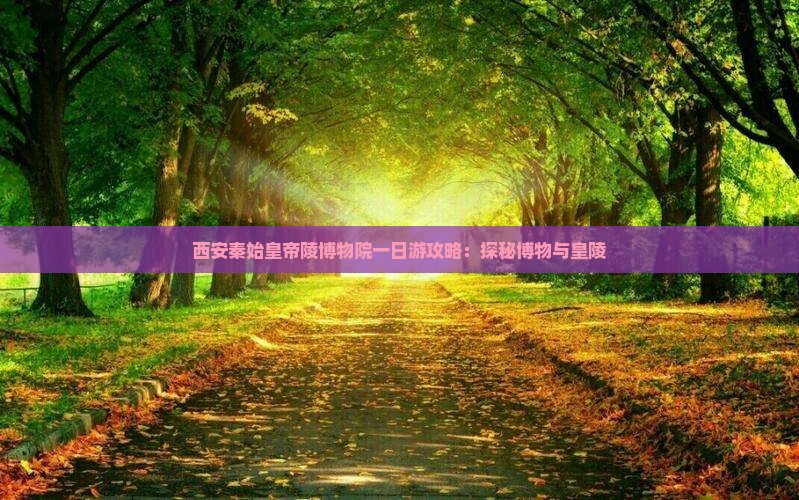 凉山到西安秦始皇帝陵博物院一日游