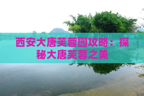 达州去西安大唐芙蓉园哪里玩