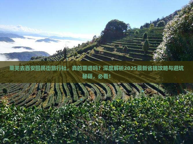 莱芜去西安回民街旅行社