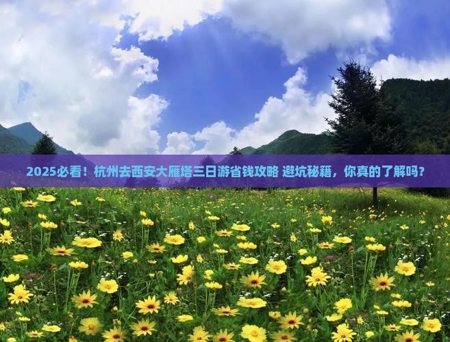杭州去西安大雁塔三日游