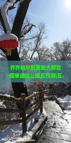 齐齐哈尔到西安大明宫国家遗址公园五日游