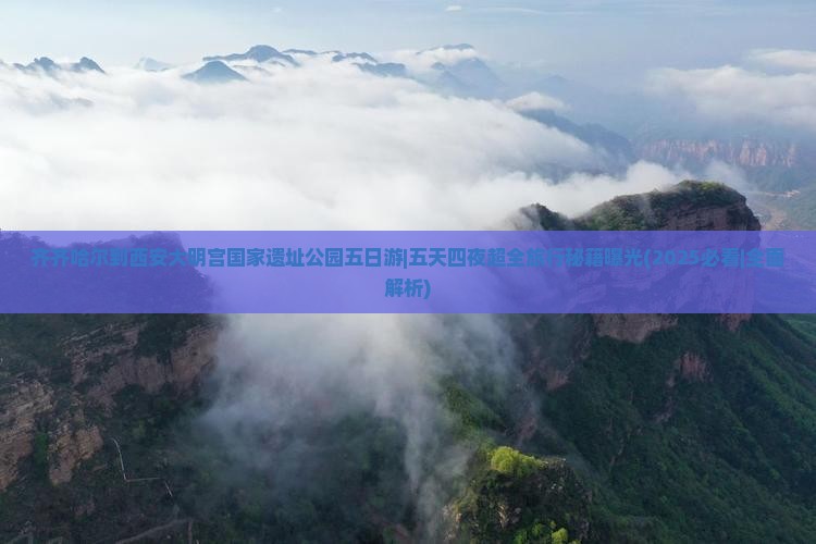 齐齐哈尔到西安大明宫国家遗址公园五日游