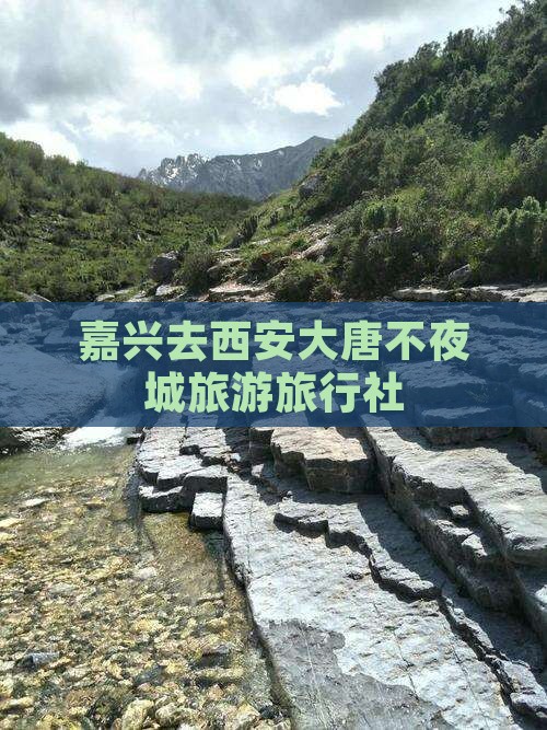 嘉兴去西安大唐不夜城旅行社