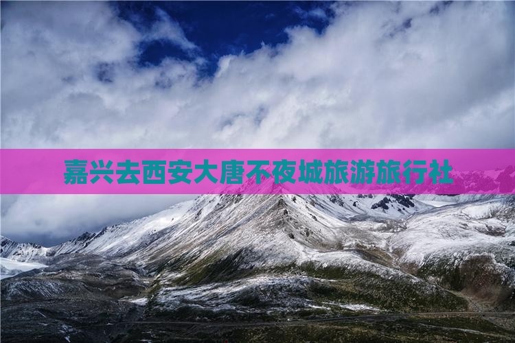 嘉兴去西安大唐不夜城旅行社