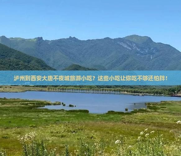 泸州到西安大唐不夜城旅游小吃