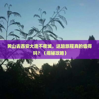 黄山去西安大唐不夜城旅行社