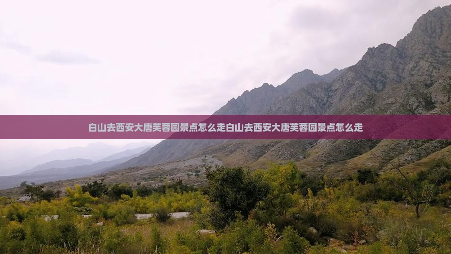白山去西安大唐芙蓉园景点