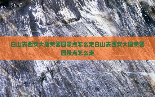 白山去西安大唐芙蓉园景点